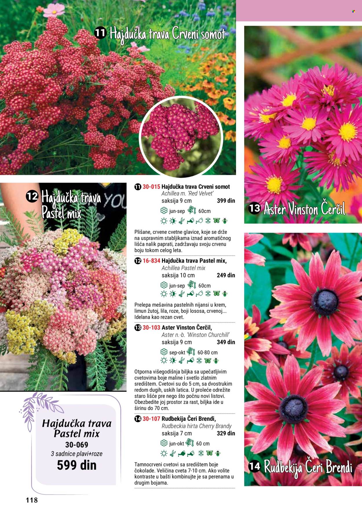 Flora Ekspres katalog. Stranica 118