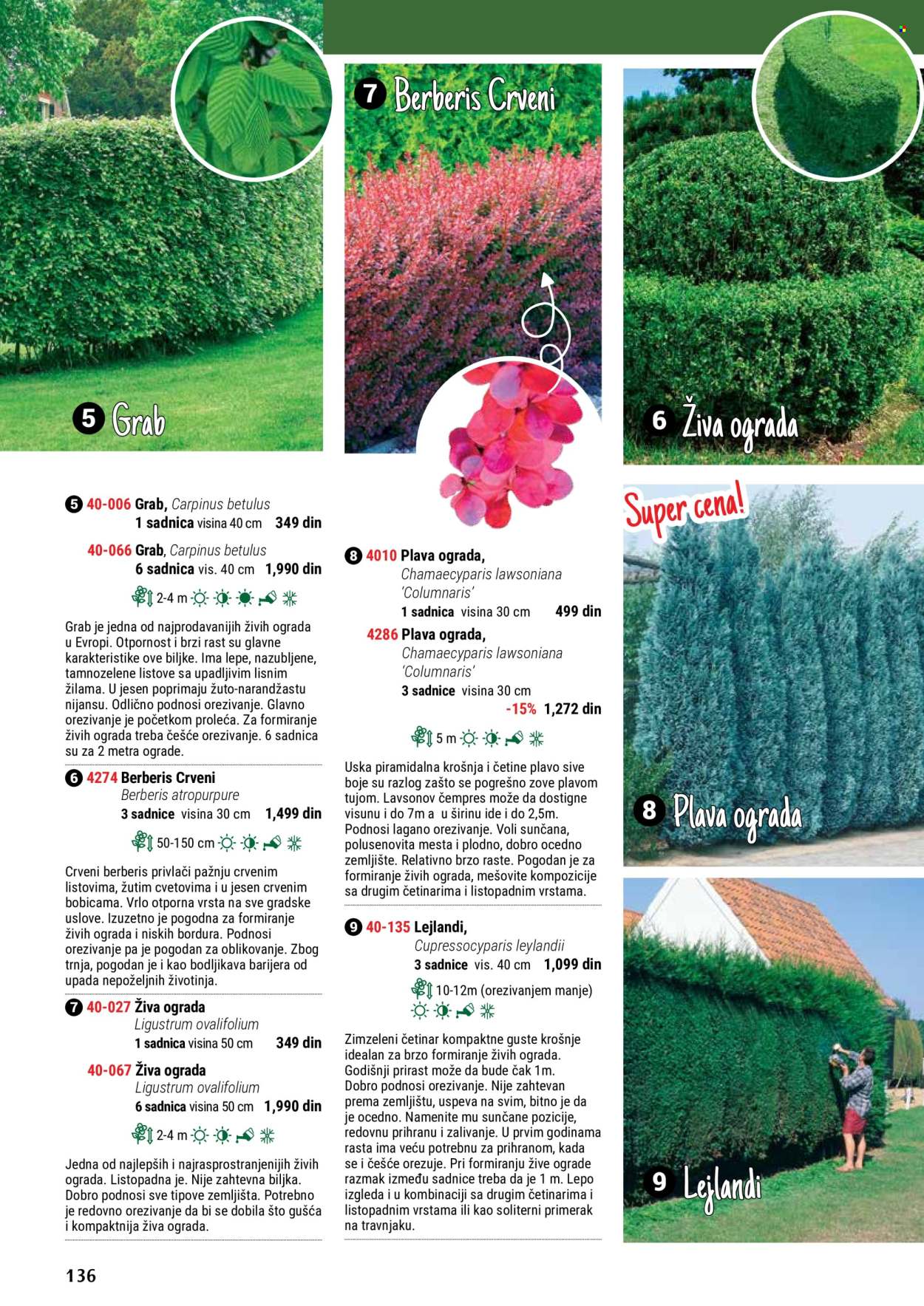Flora Ekspres katalog. Stranica 136