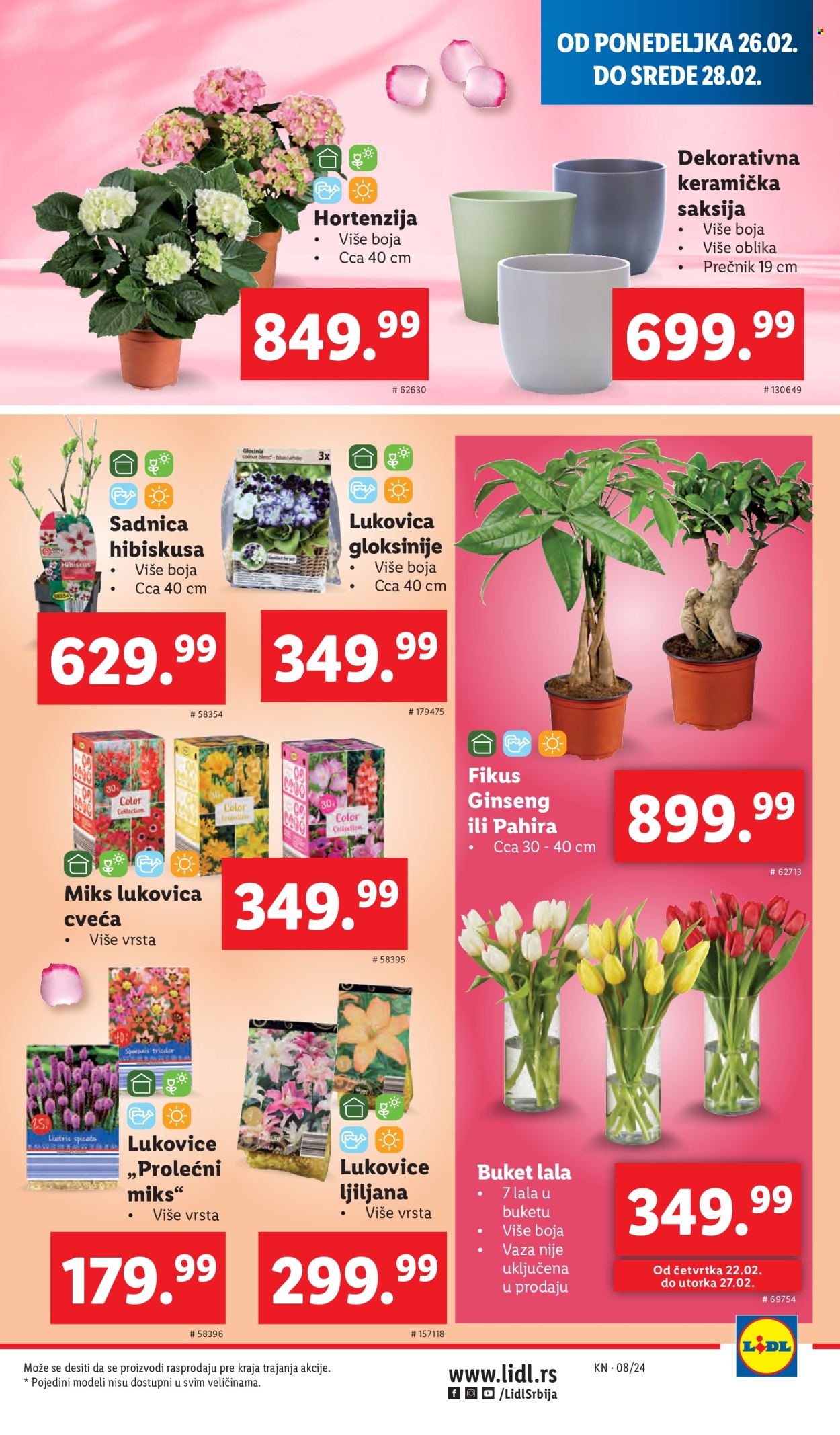 Lidl katalog - 22.02.2024 - 28.02.2024. Stranica 23
