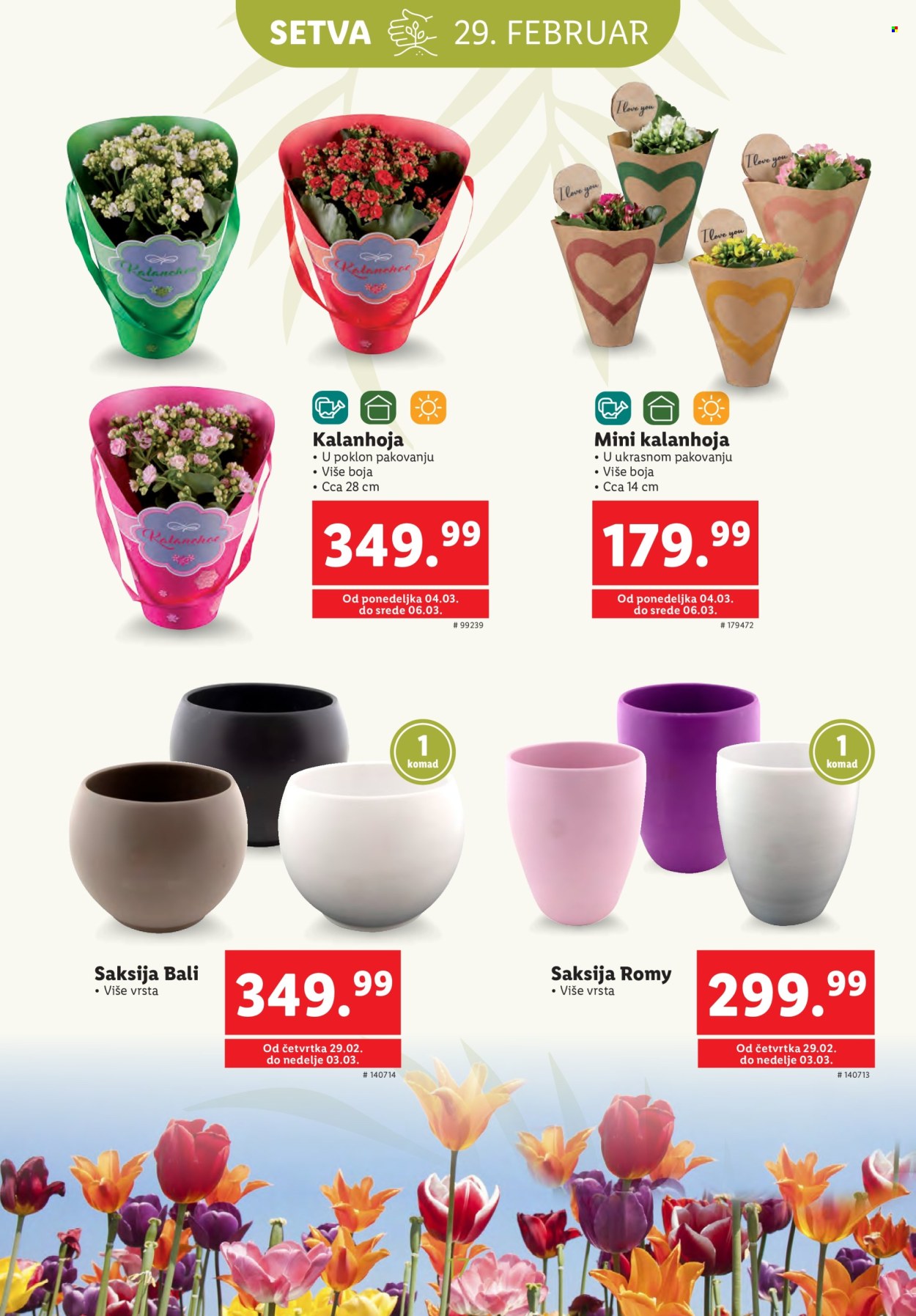Lidl katalog. Stranica 17