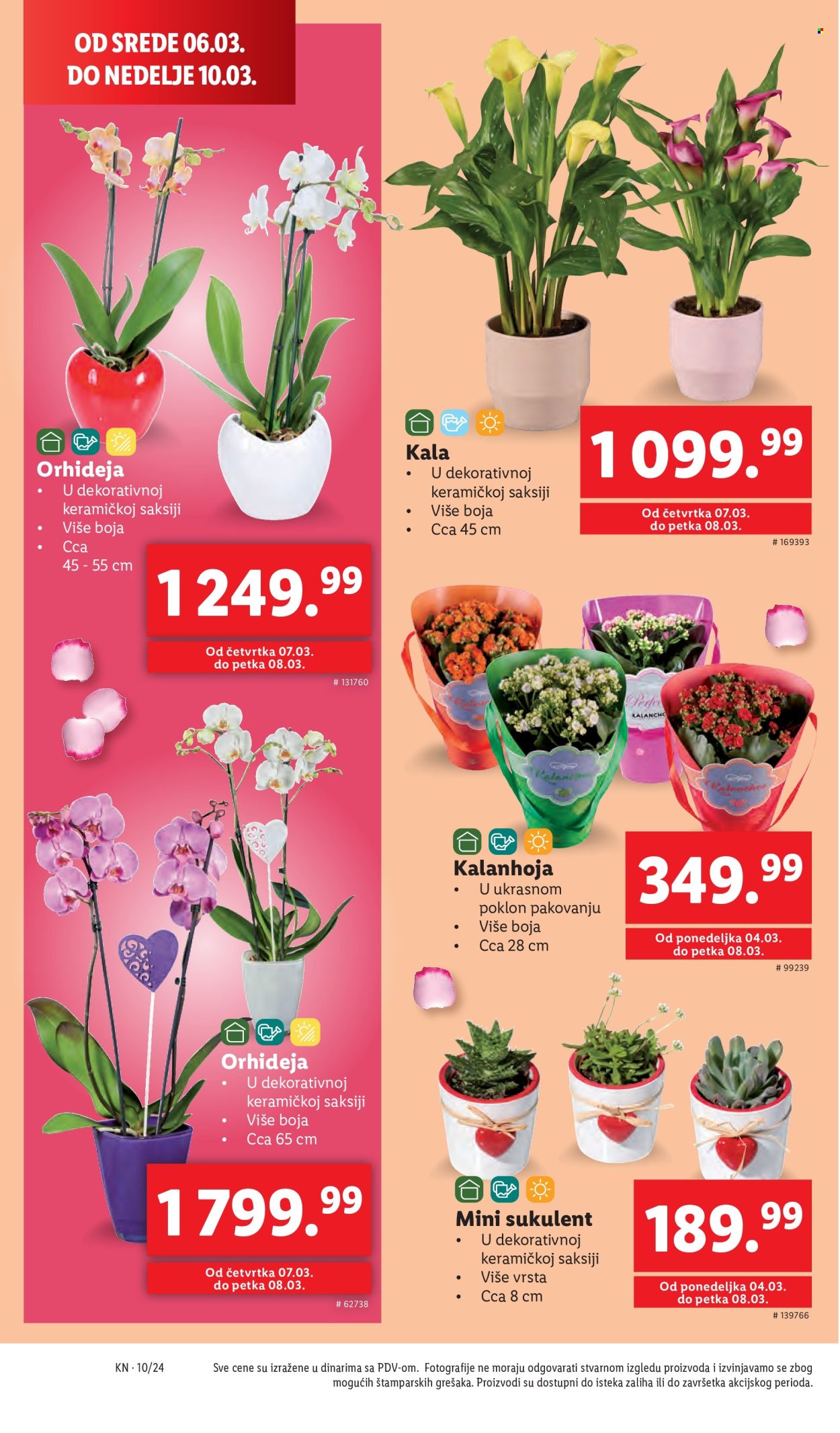 Lidl katalog - 07.03.2024 - 13.03.2024. Stranica 34