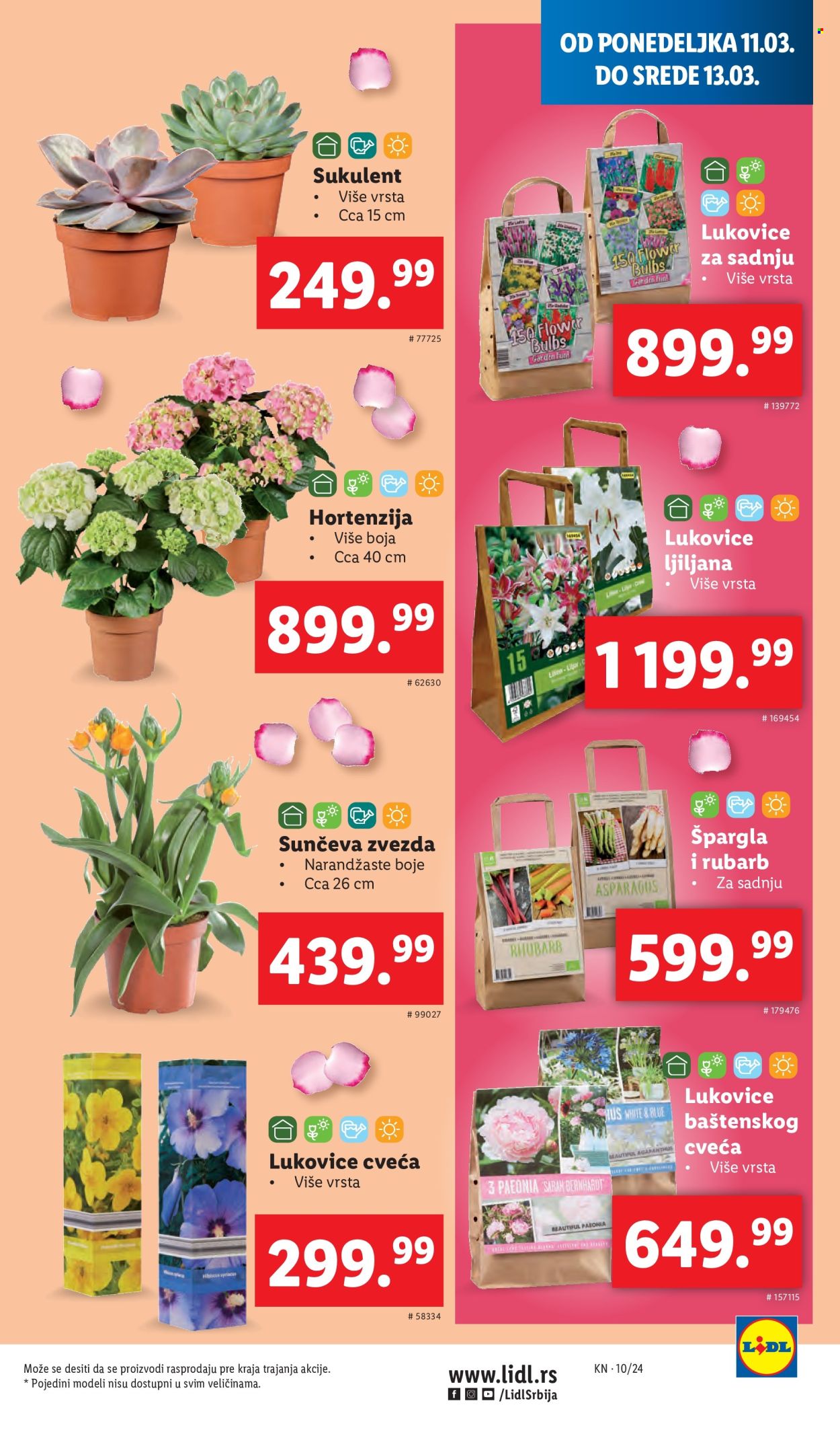 Lidl katalog - 07.03.2024 - 13.03.2024. Stranica 35