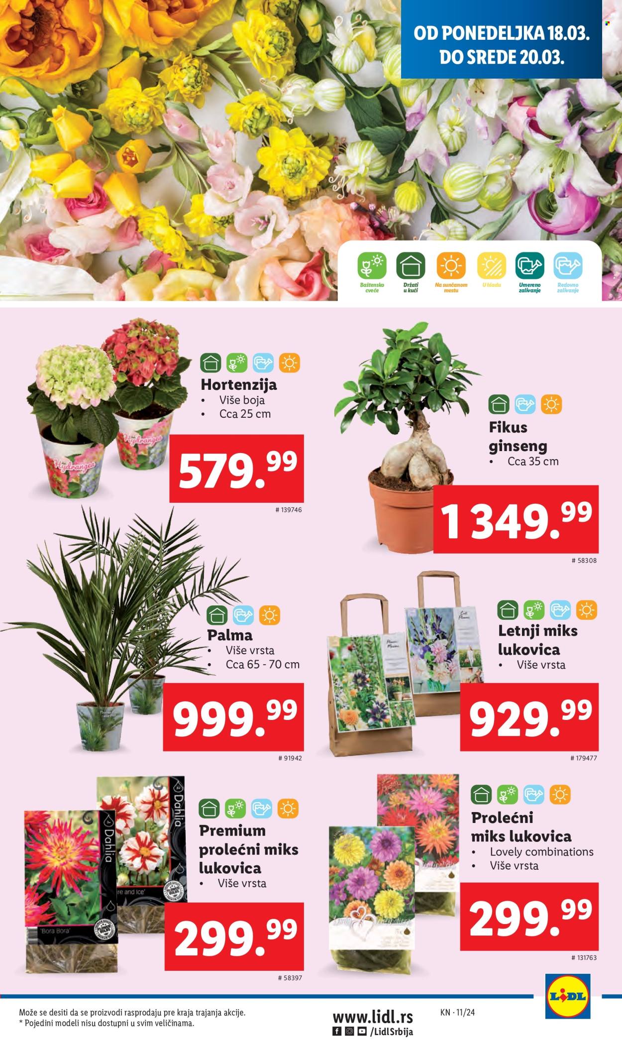 Lidl katalog - 14.03.2024 - 20.03.2024. Stranica 21
