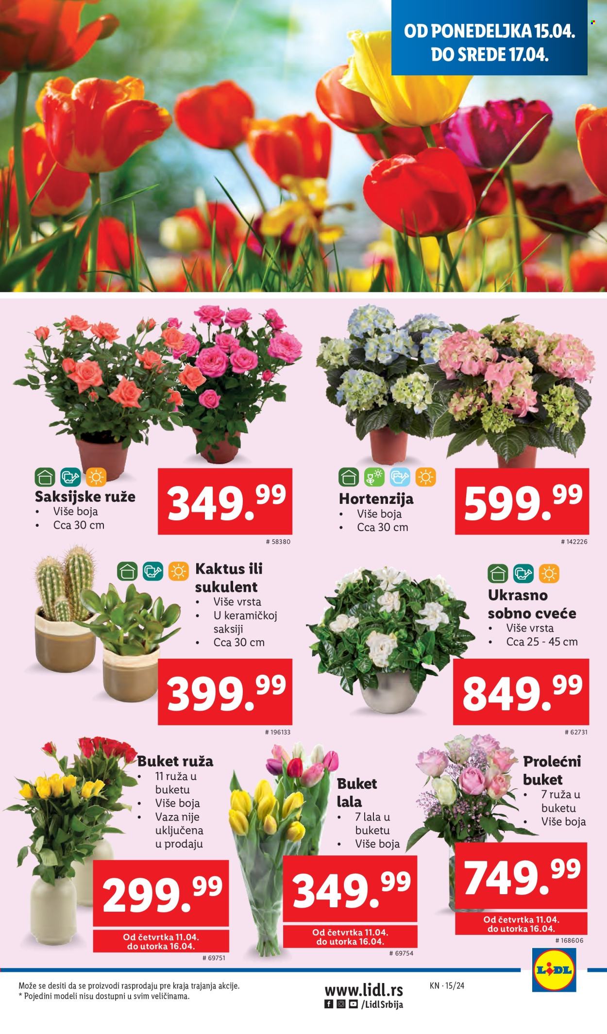 Lidl katalog - 11.04.2024 - 17.04.2024. Stranica 23