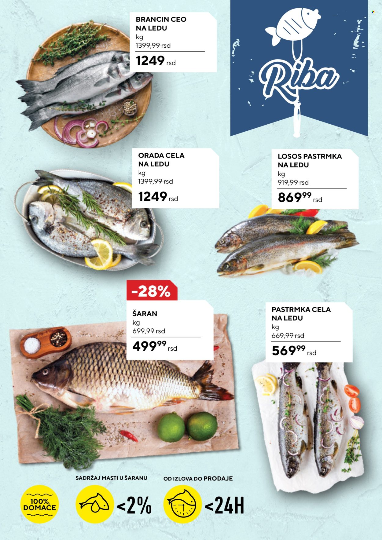 Roda katalog - 29.04.2024 - 05.05.2024. Stranica 13