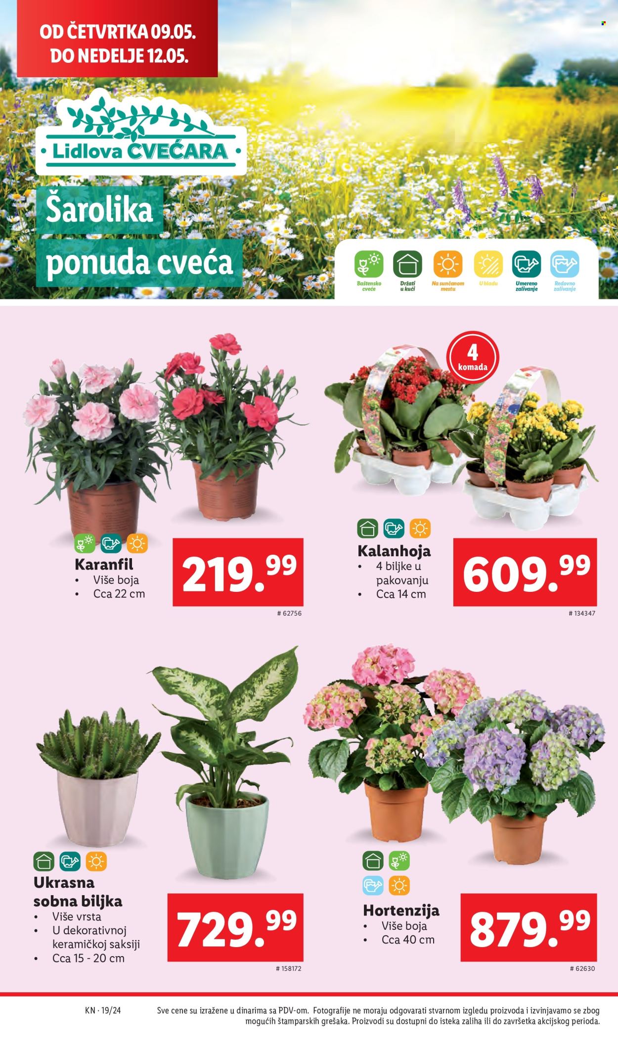 Lidl katalog - 09.05.2024 - 15.05.2024. Stranica 40