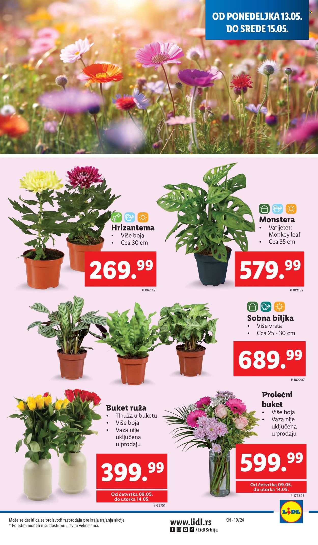 Lidl katalog - 09.05.2024 - 15.05.2024. Stranica 41