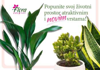 Flora Ekspres katalog.