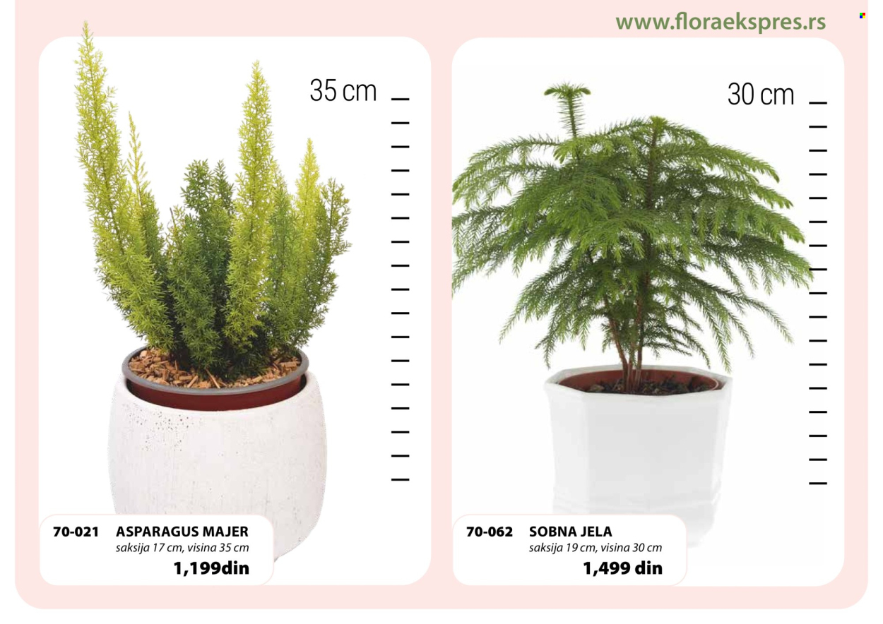 Flora Ekspres katalog. Stranica 3