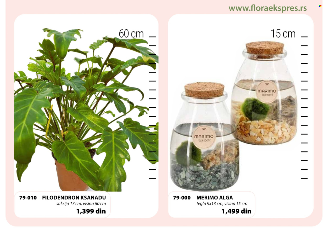 Flora Ekspres katalog. Stranica 9