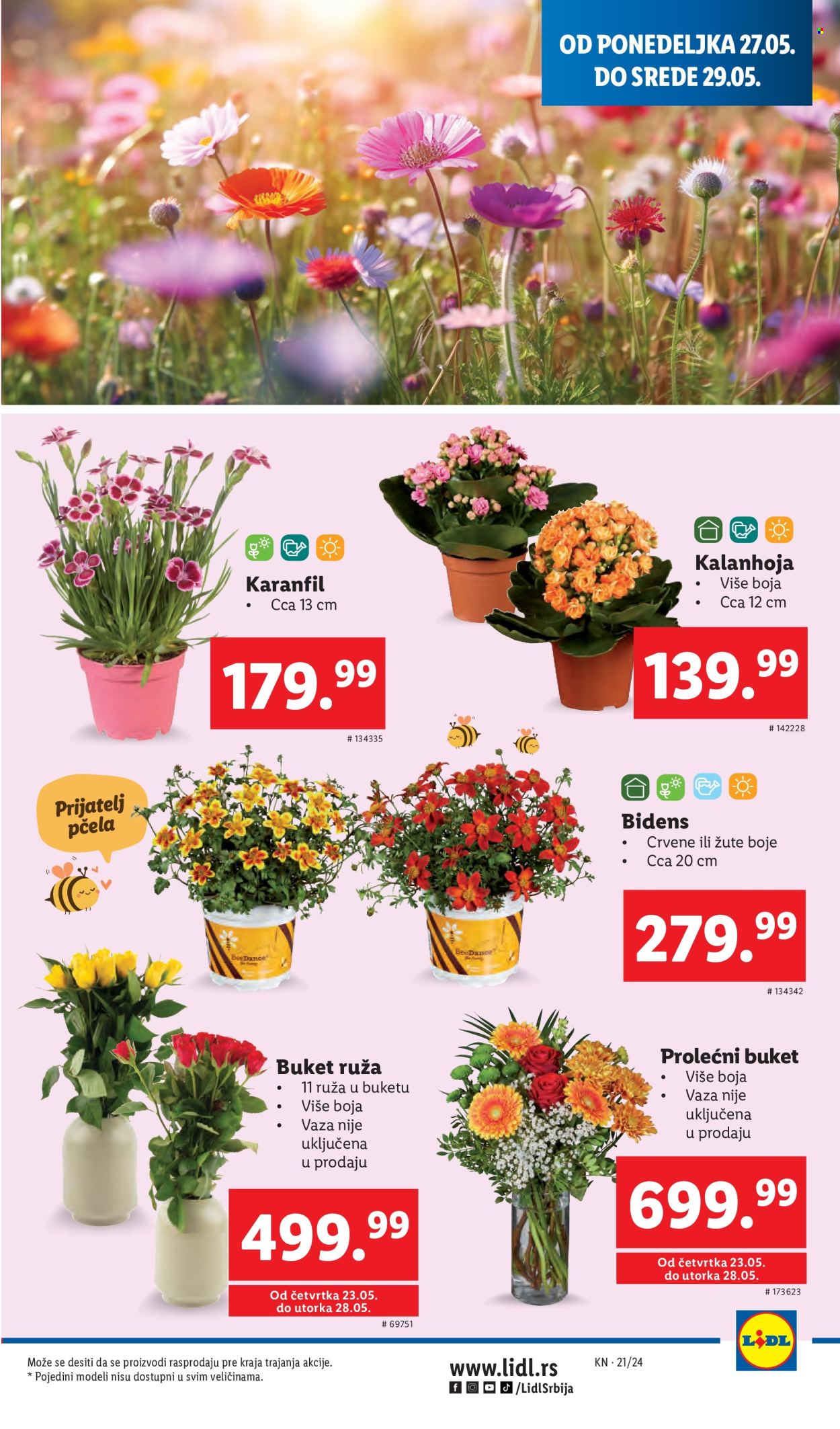 Lidl katalog - 23.05.2024 - 29.05.2024. Stranica 27