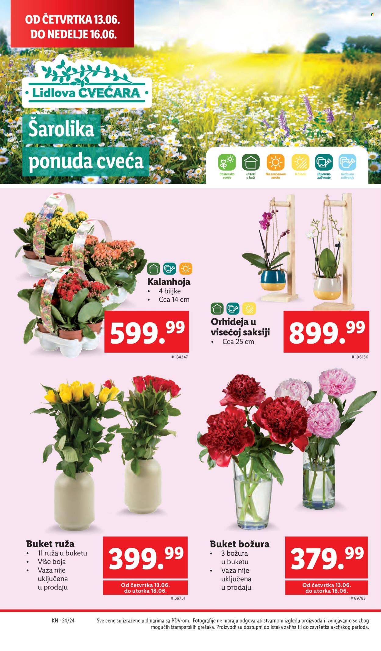 Lidl katalog - 13.06.2024 - 19.06.2024. Stranica 28