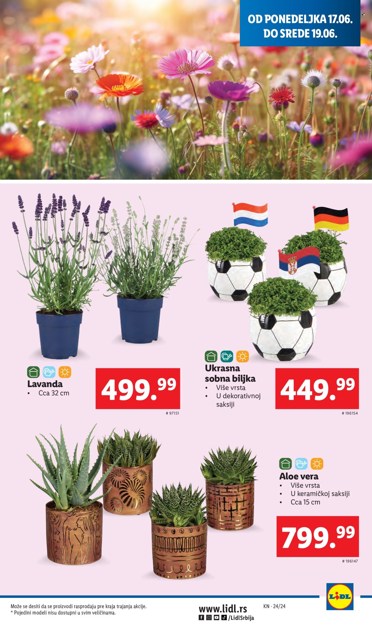 Lidl katalog - 13.06.2024 - 19.06.2024. Stranica 29