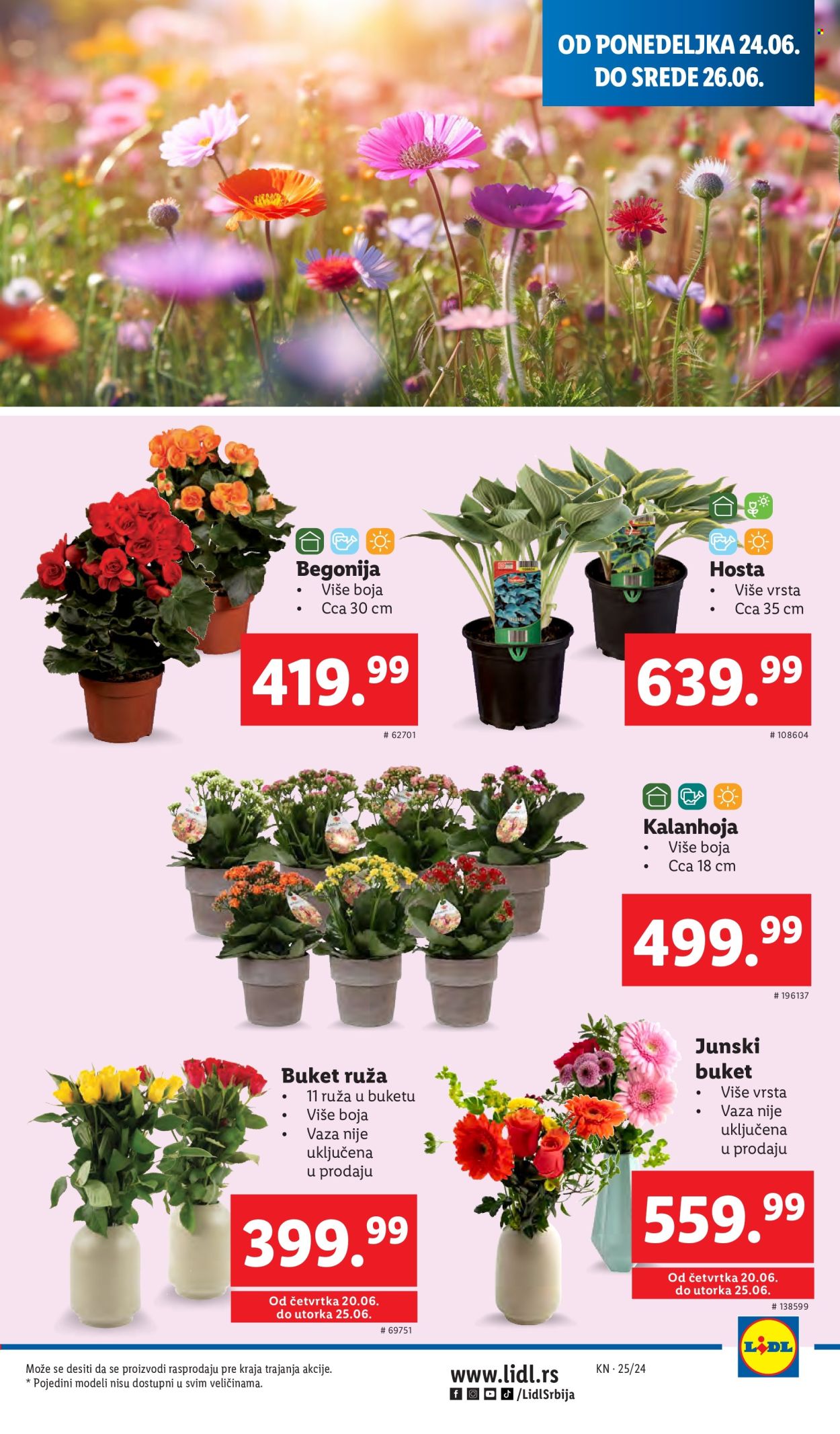 Lidl katalog - 20.06.2024 - 26.06.2024. Stranica 37