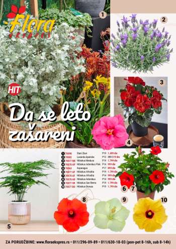 Flora Ekspres katalog.