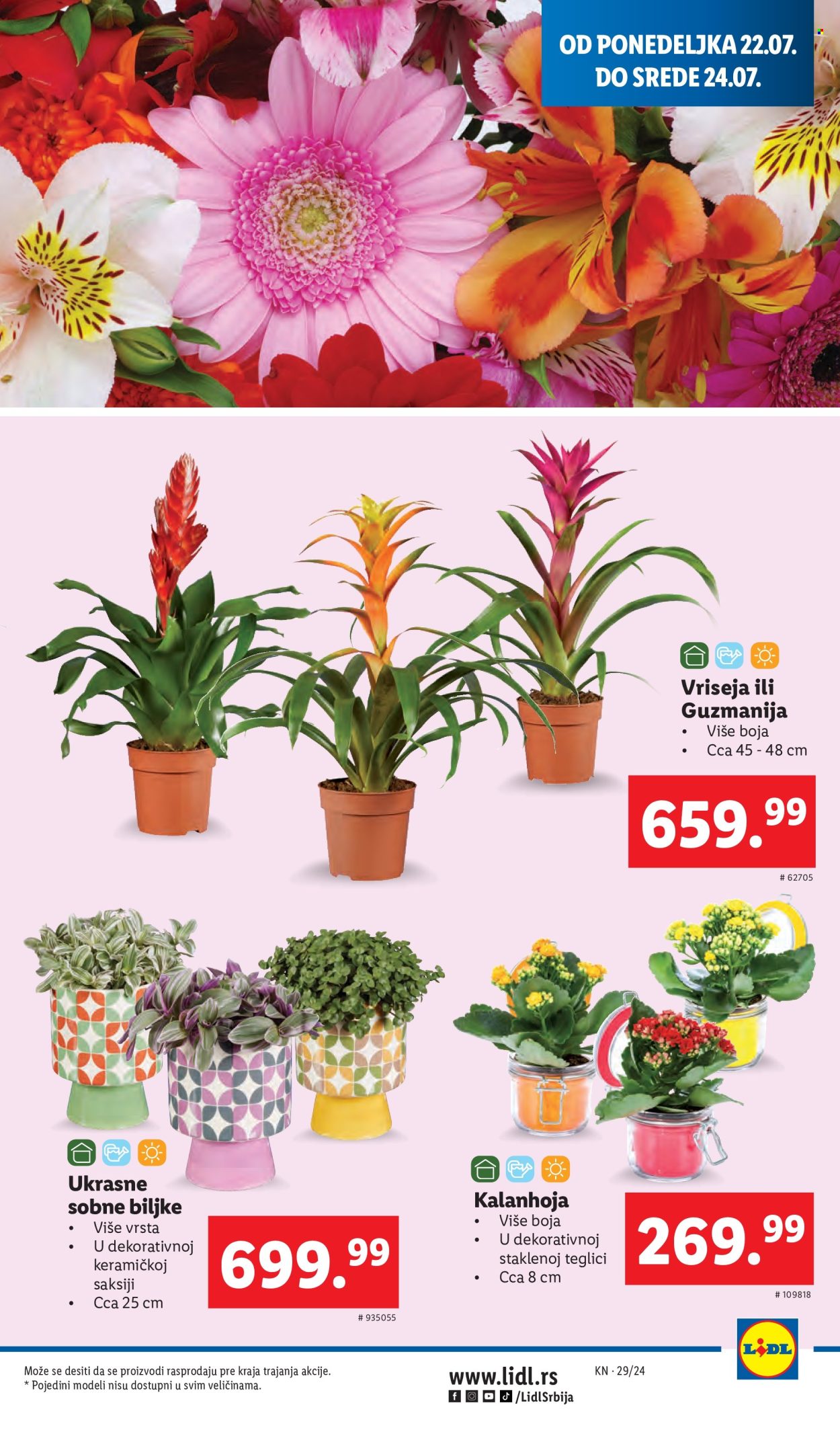 Lidl katalog - 18.07.2024 - 24.07.2024. Stranica 29
