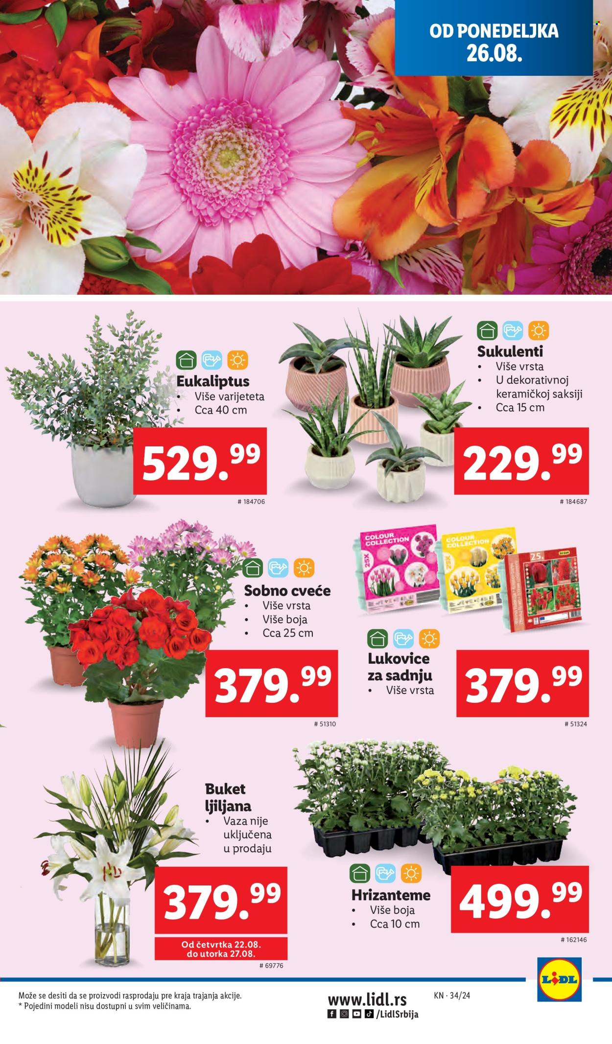 Lidl katalog - 22.08.2024 - 28.08.2024. Stranica 33
