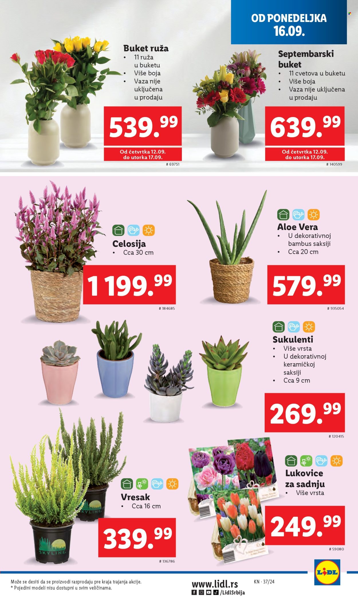 Lidl katalog - 12.09.2024 - 18.09.2024. Stranica 29