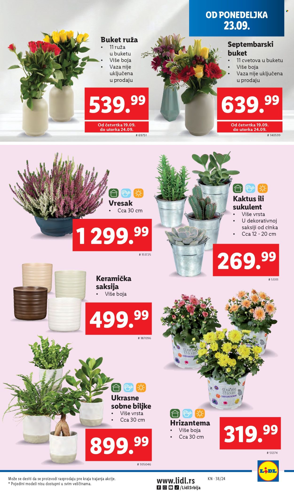 Lidl katalog - 19.09.2024 - 25.09.2024. Stranica 37