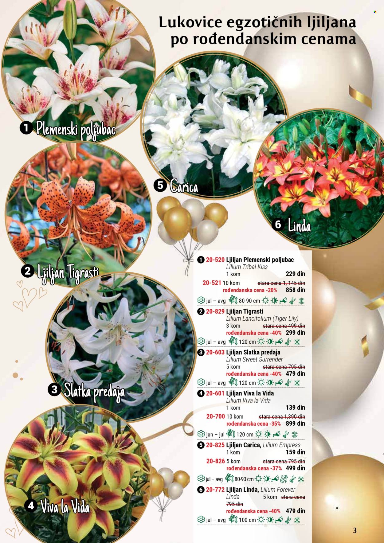 Flora Ekspres katalog. Stranica 3