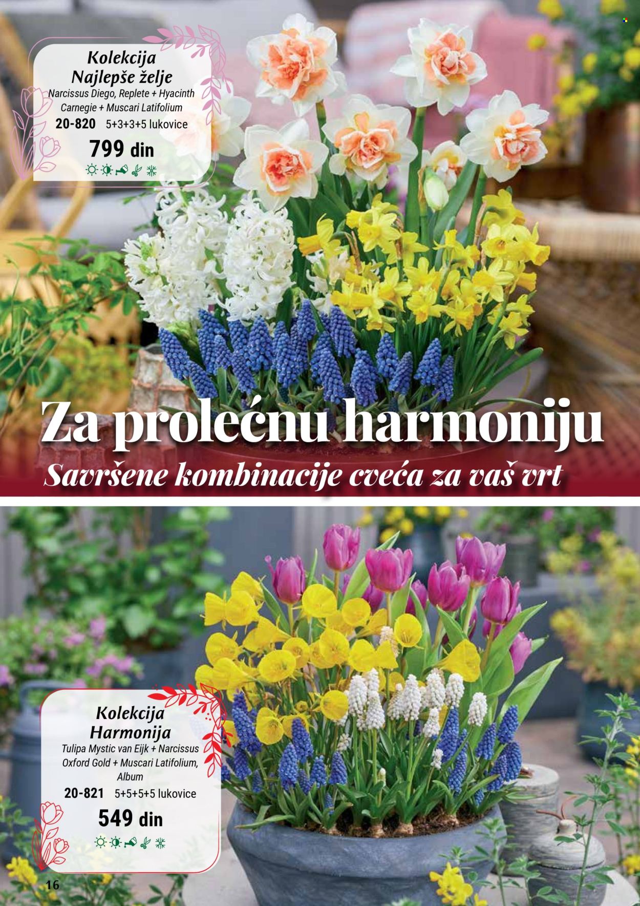 Flora Ekspres katalog. Stranica 16