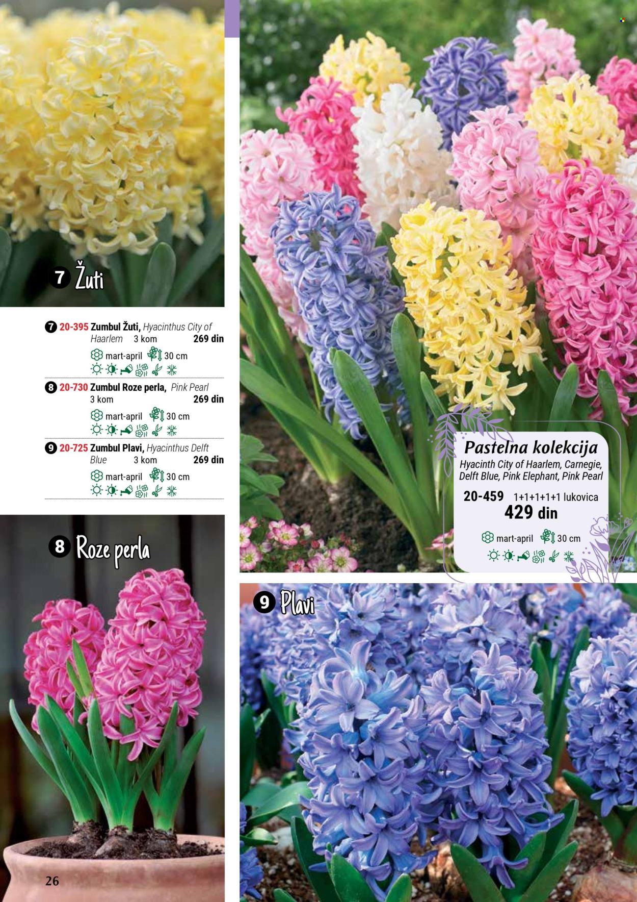 Flora Ekspres katalog. Stranica 26