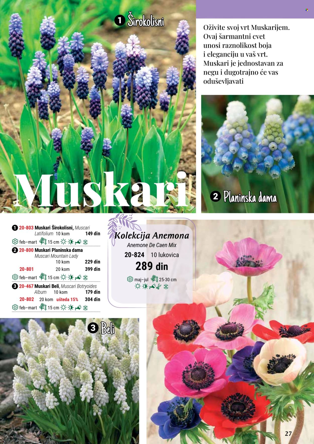 Flora Ekspres katalog. Stranica 27