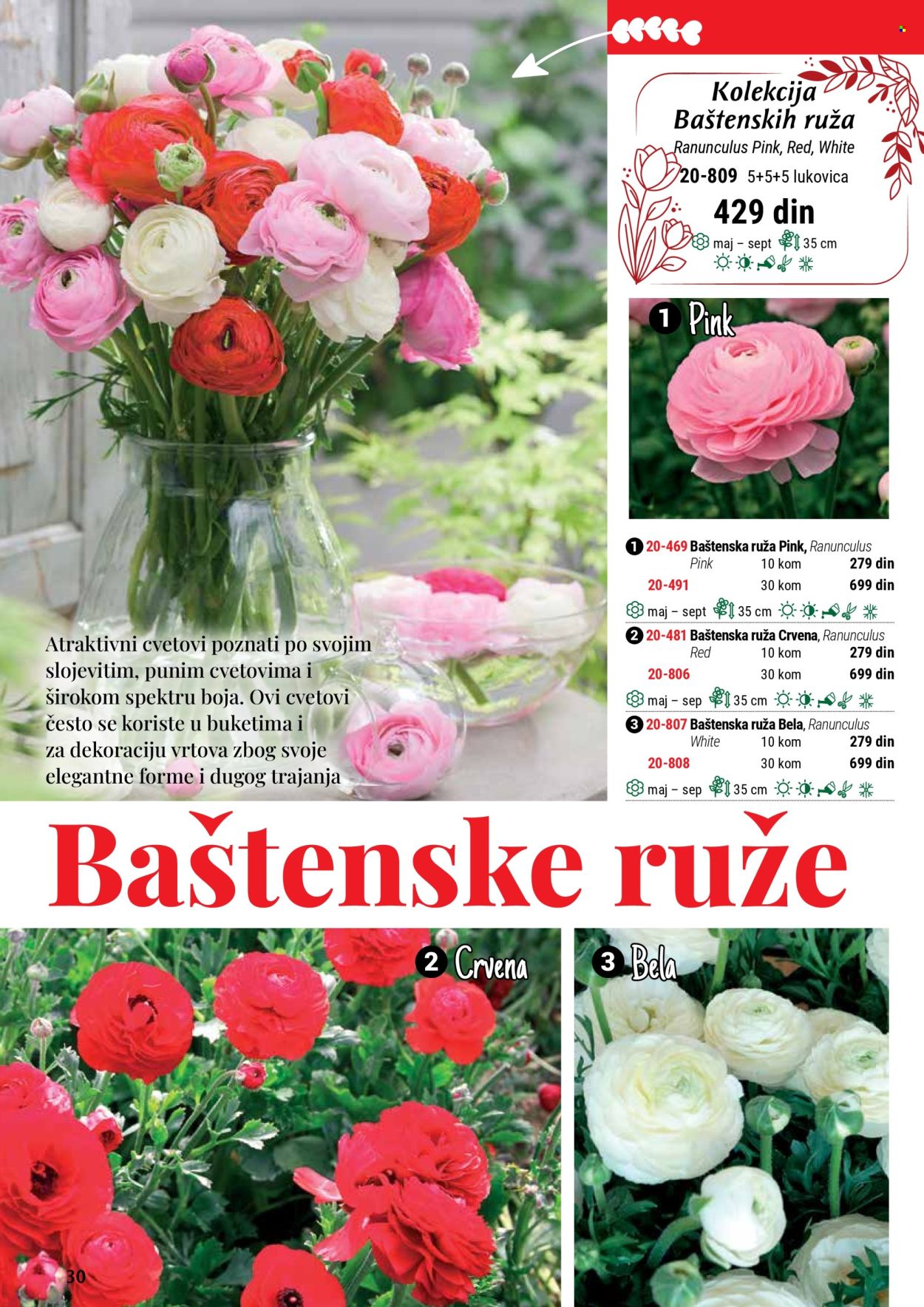 Flora Ekspres katalog. Stranica 30
