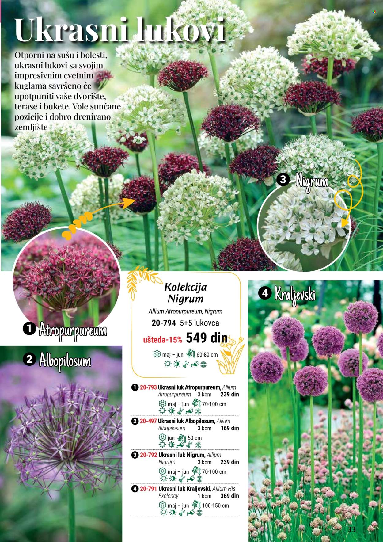 Flora Ekspres katalog. Stranica 33