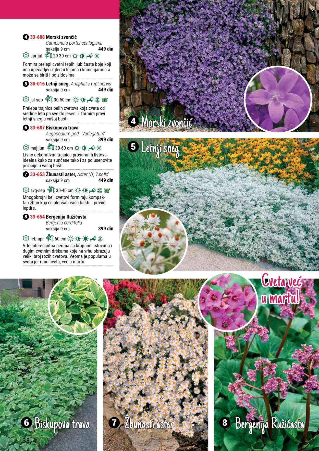 Flora Ekspres katalog. Stranica 38