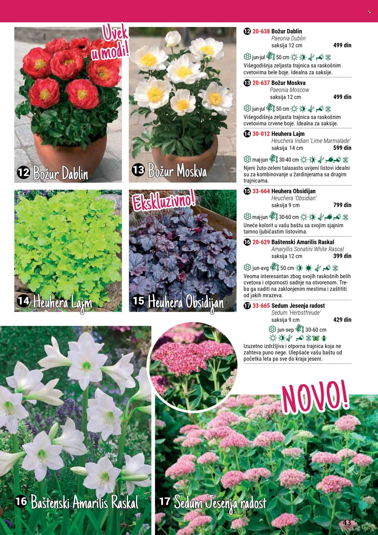 Flora Ekspres katalog. Stranica 43
