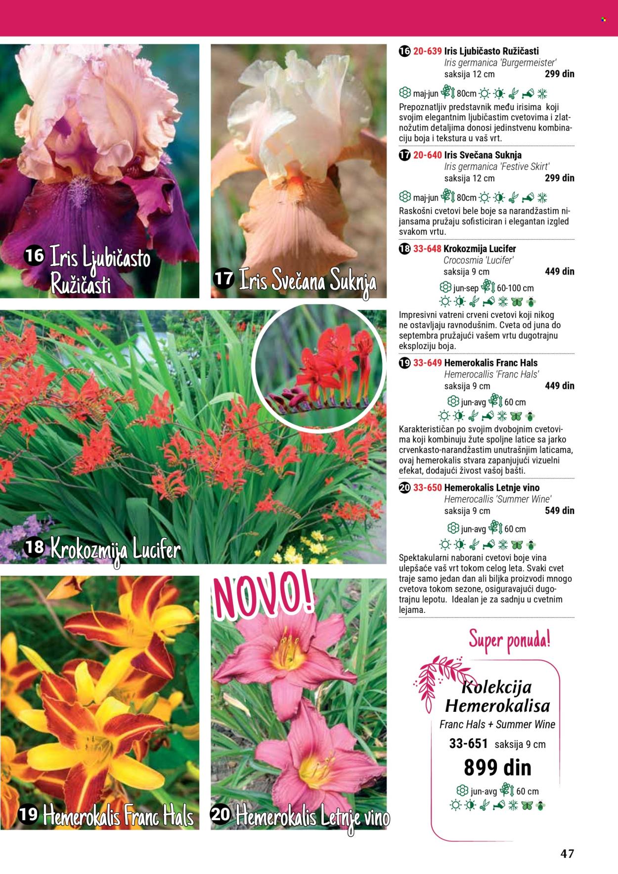 Flora Ekspres katalog. Stranica 47