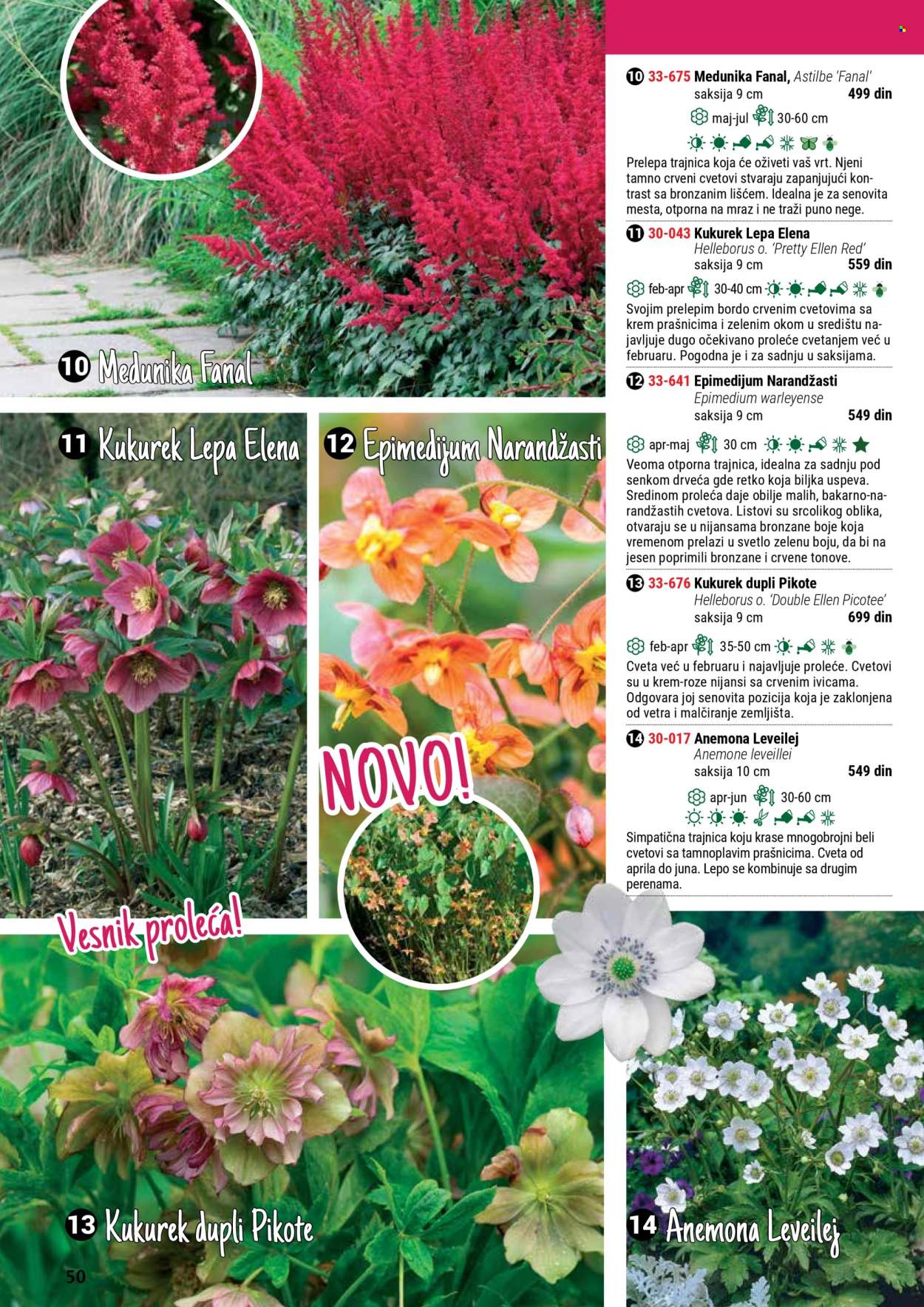 Flora Ekspres katalog. Stranica 50