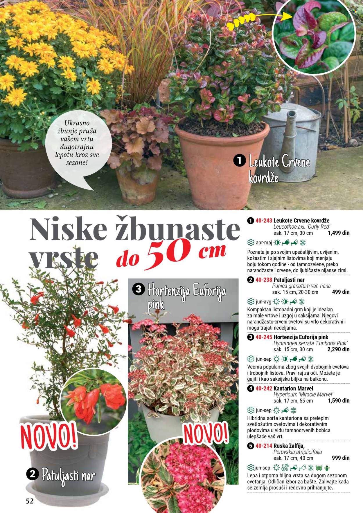 Flora Ekspres katalog. Stranica 52