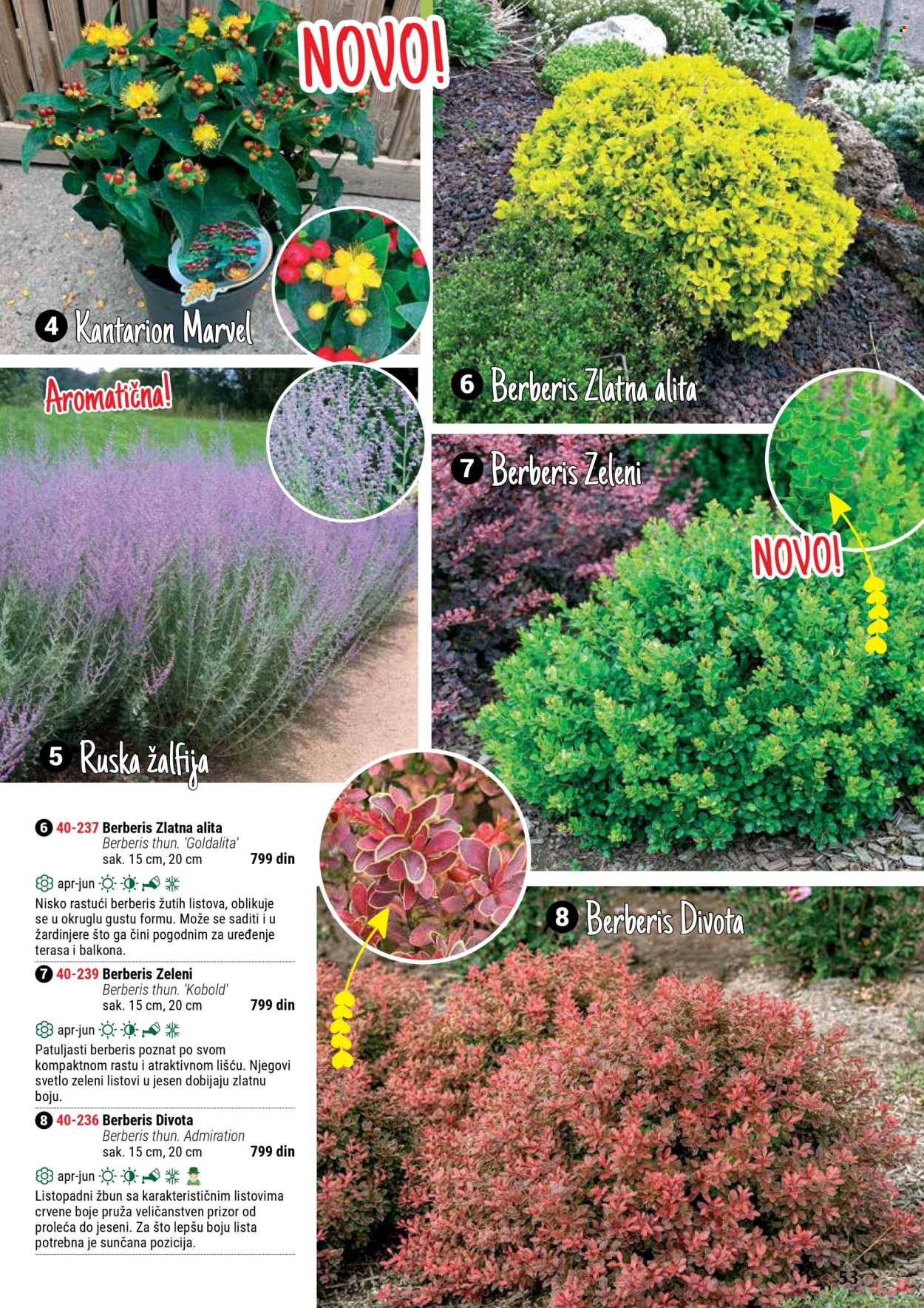 Flora Ekspres katalog. Stranica 53