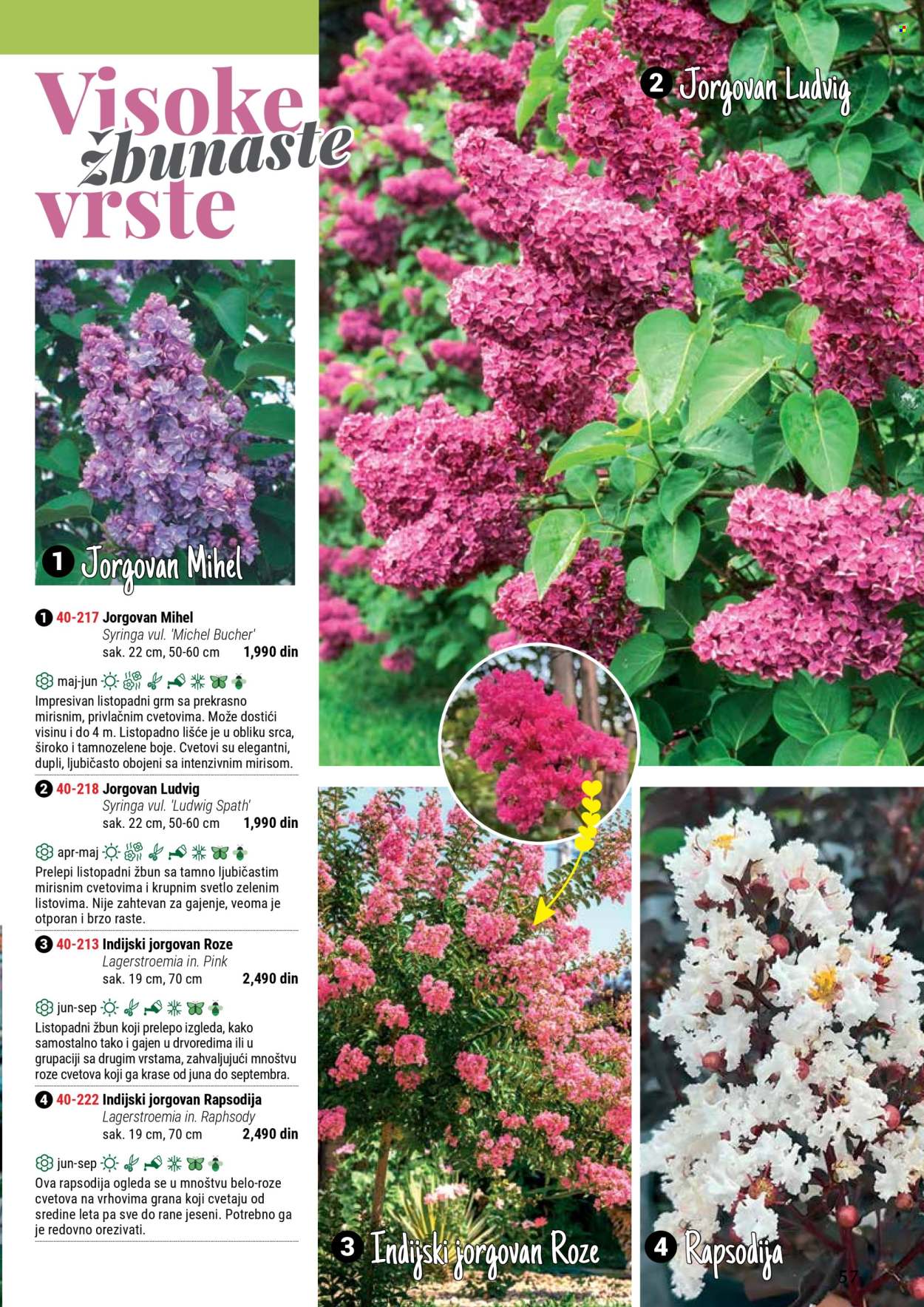 Flora Ekspres katalog. Stranica 57