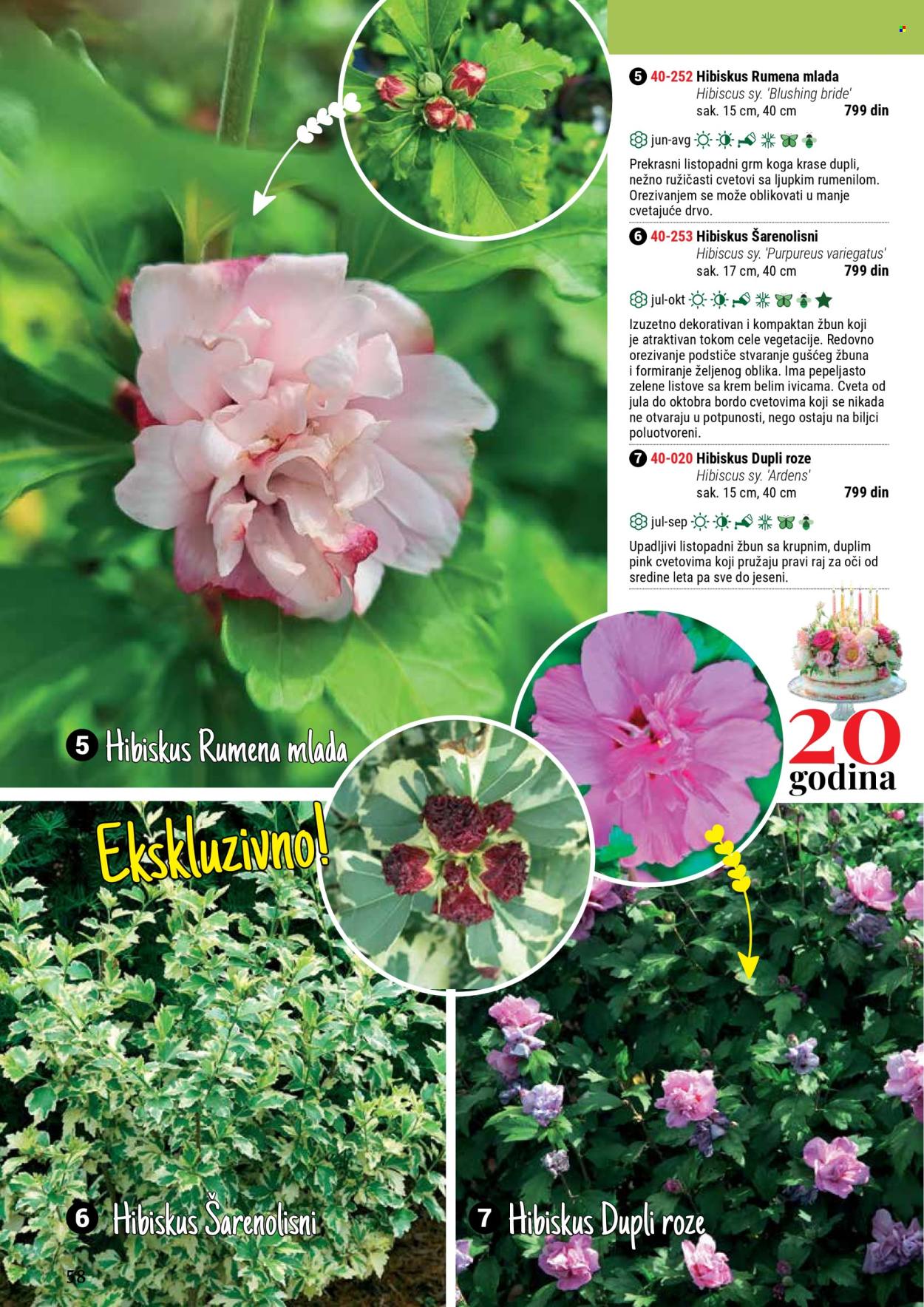 Flora Ekspres katalog. Stranica 58