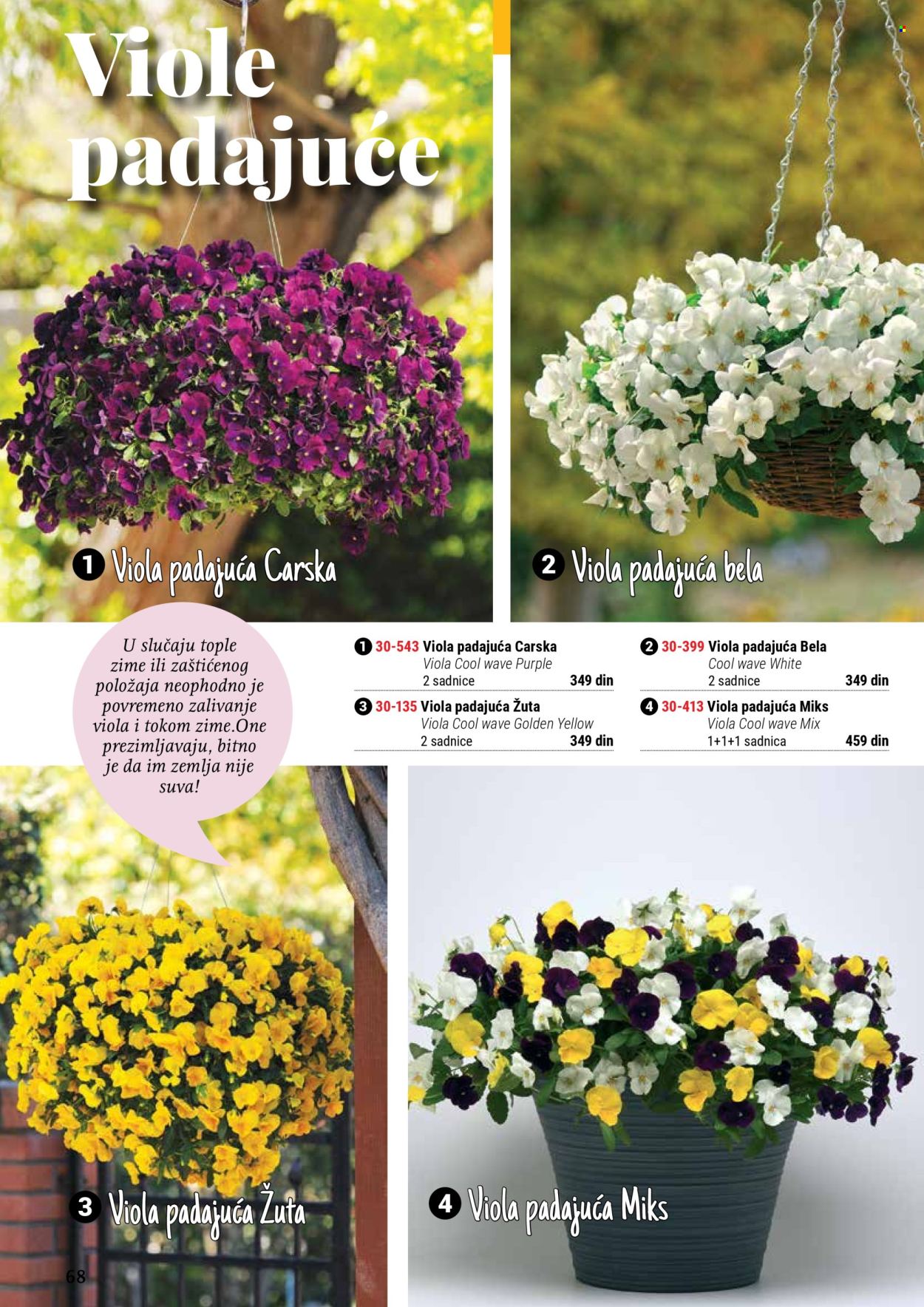 Flora Ekspres katalog. Stranica 68