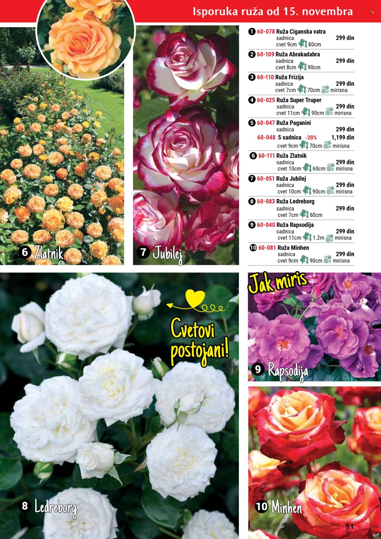 Flora Ekspres katalog. Stranica 81