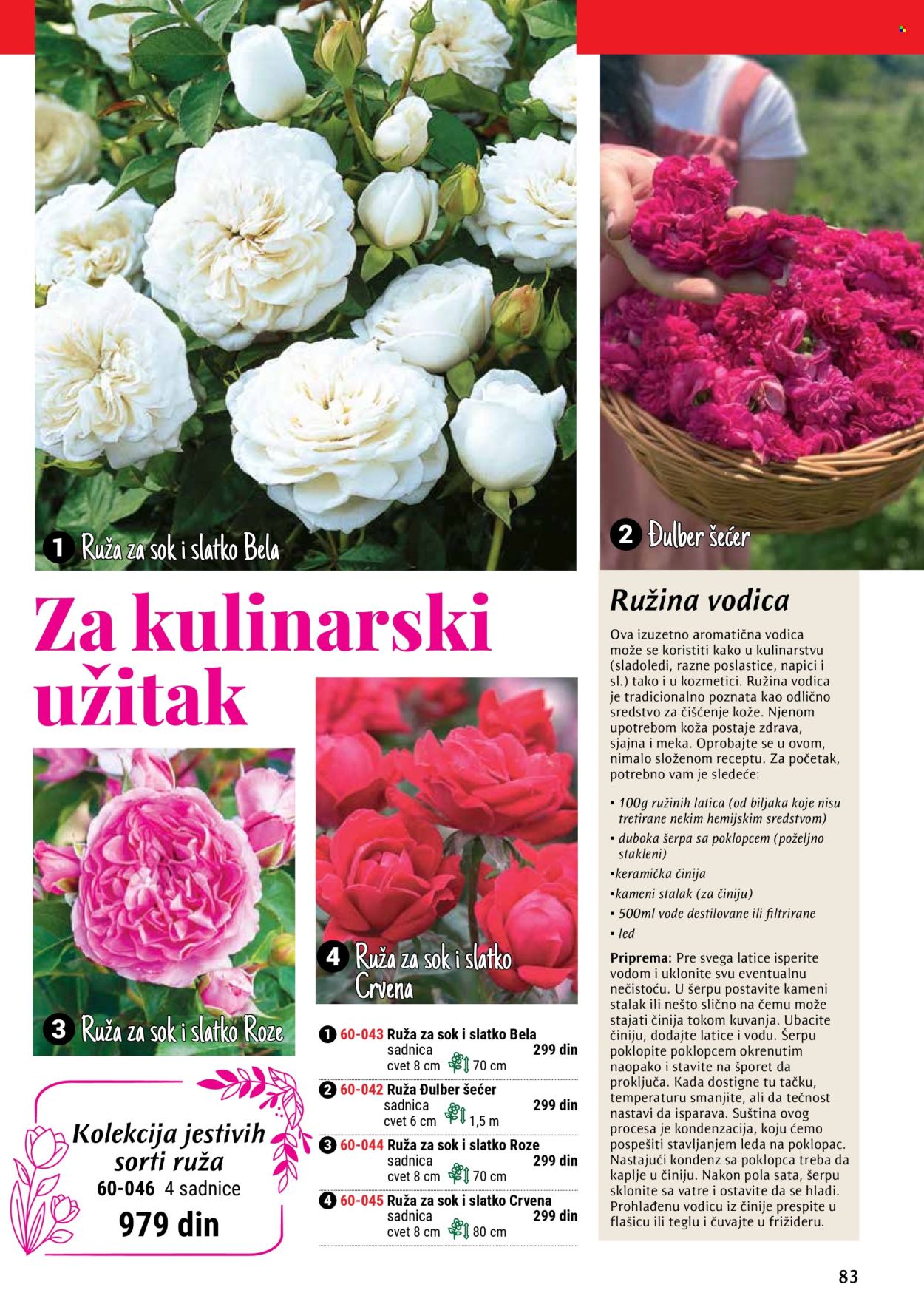 Flora Ekspres katalog. Stranica 83