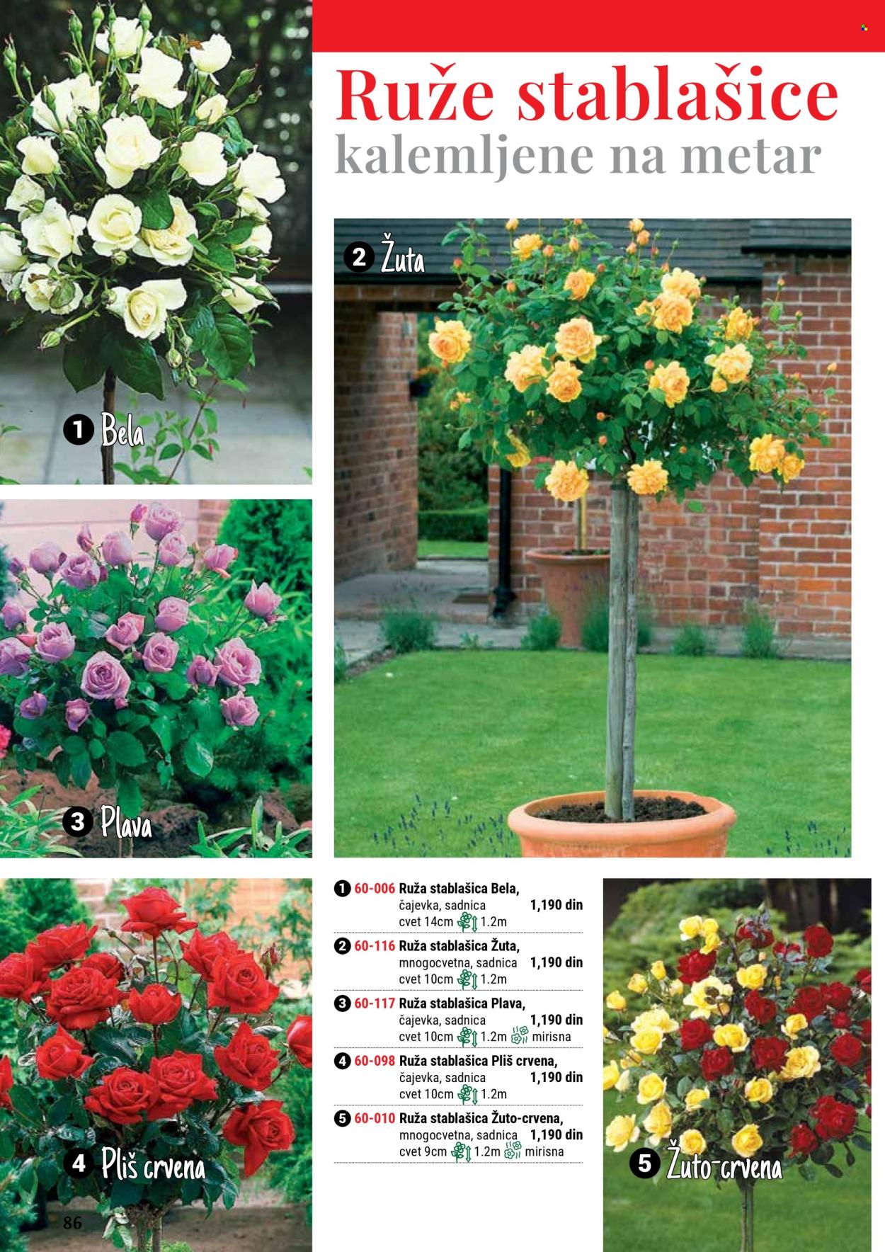 Flora Ekspres katalog. Stranica 86