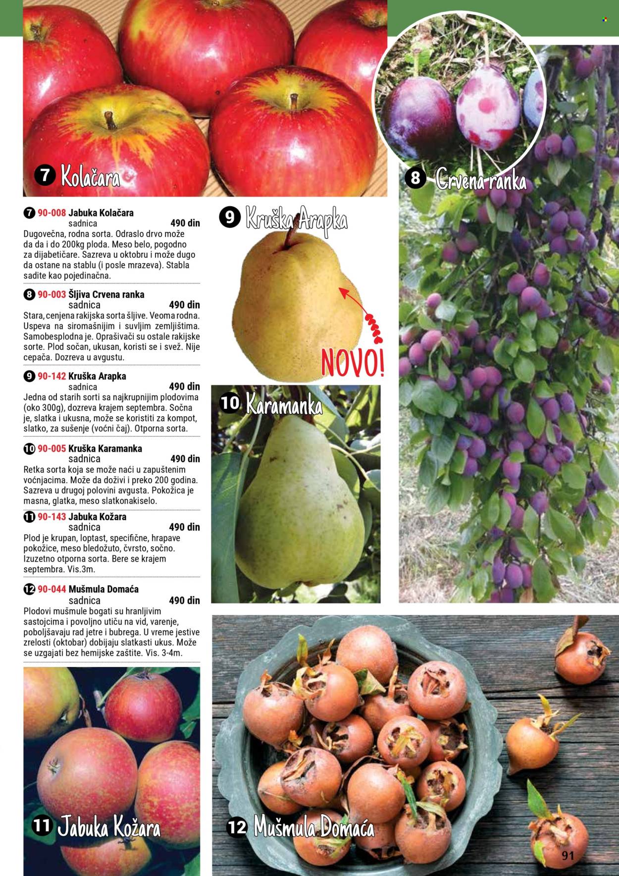 Flora Ekspres katalog. Stranica 91
