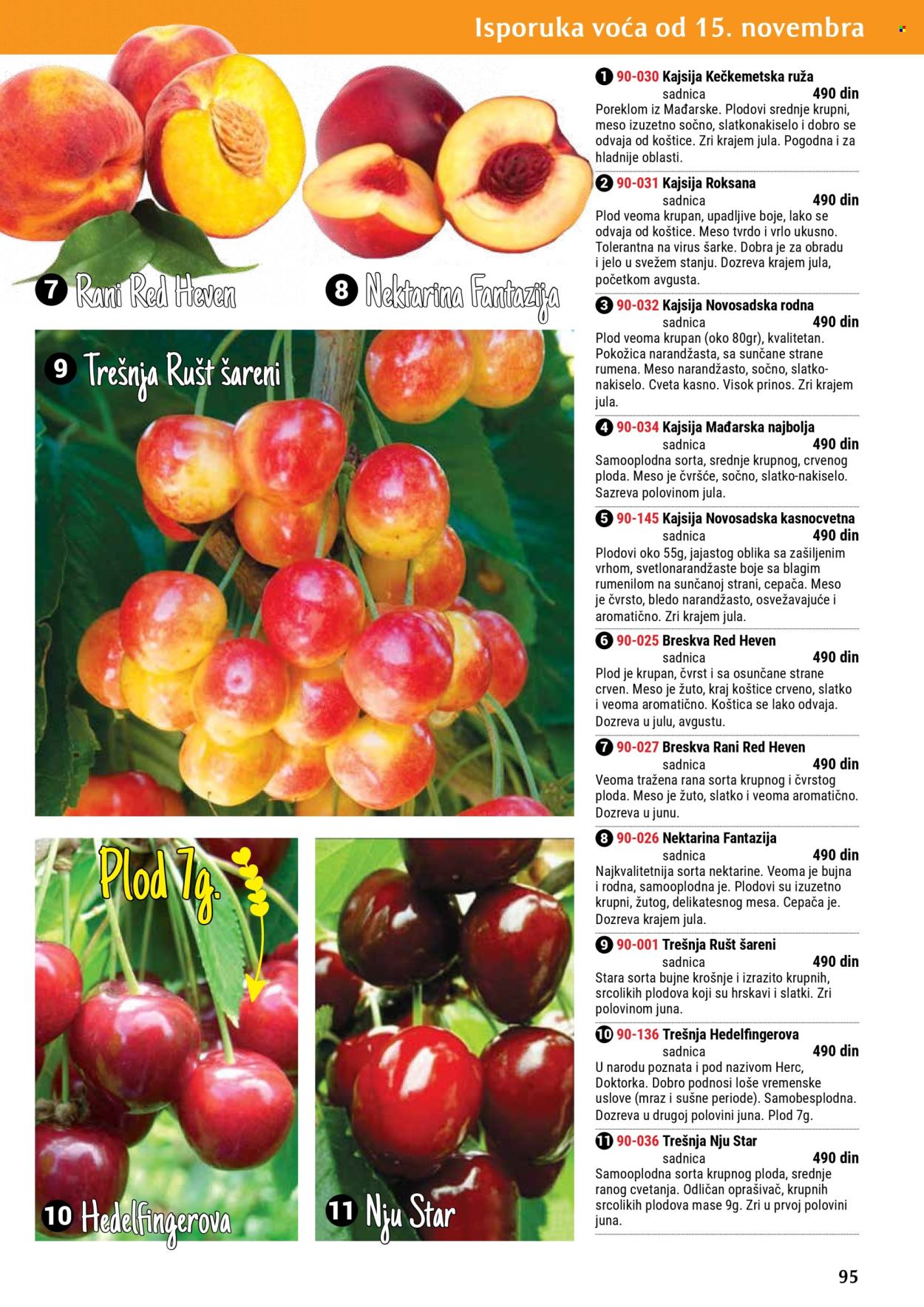 Flora Ekspres katalog. Stranica 95