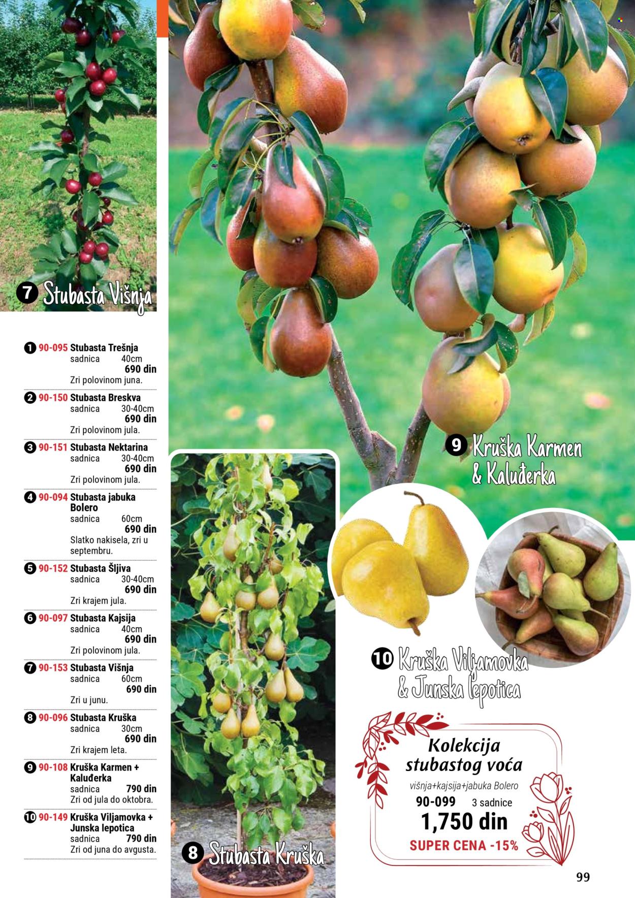 Flora Ekspres katalog. Stranica 99