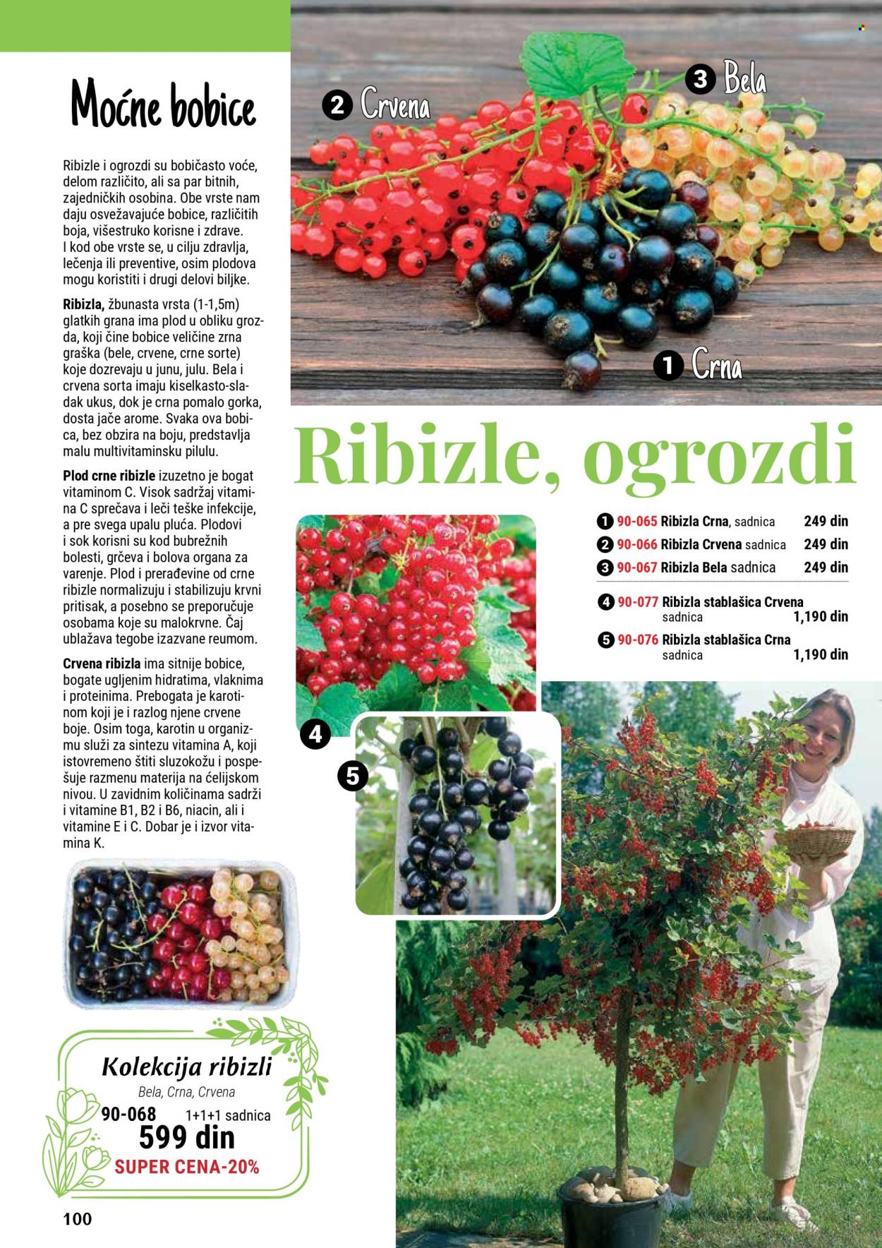 Flora Ekspres katalog. Stranica 100