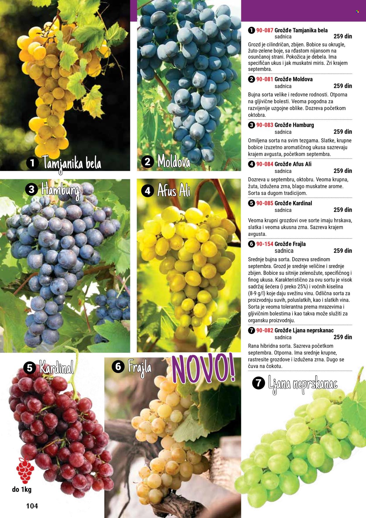Flora Ekspres katalog. Stranica 104