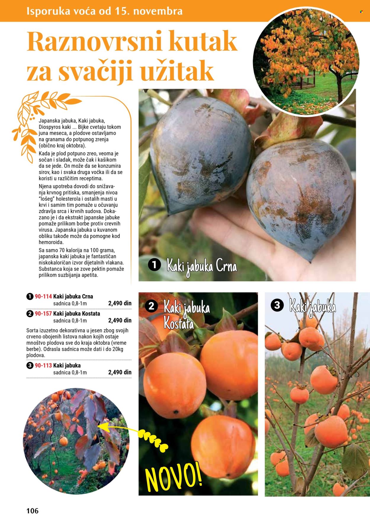 Flora Ekspres katalog. Stranica 106