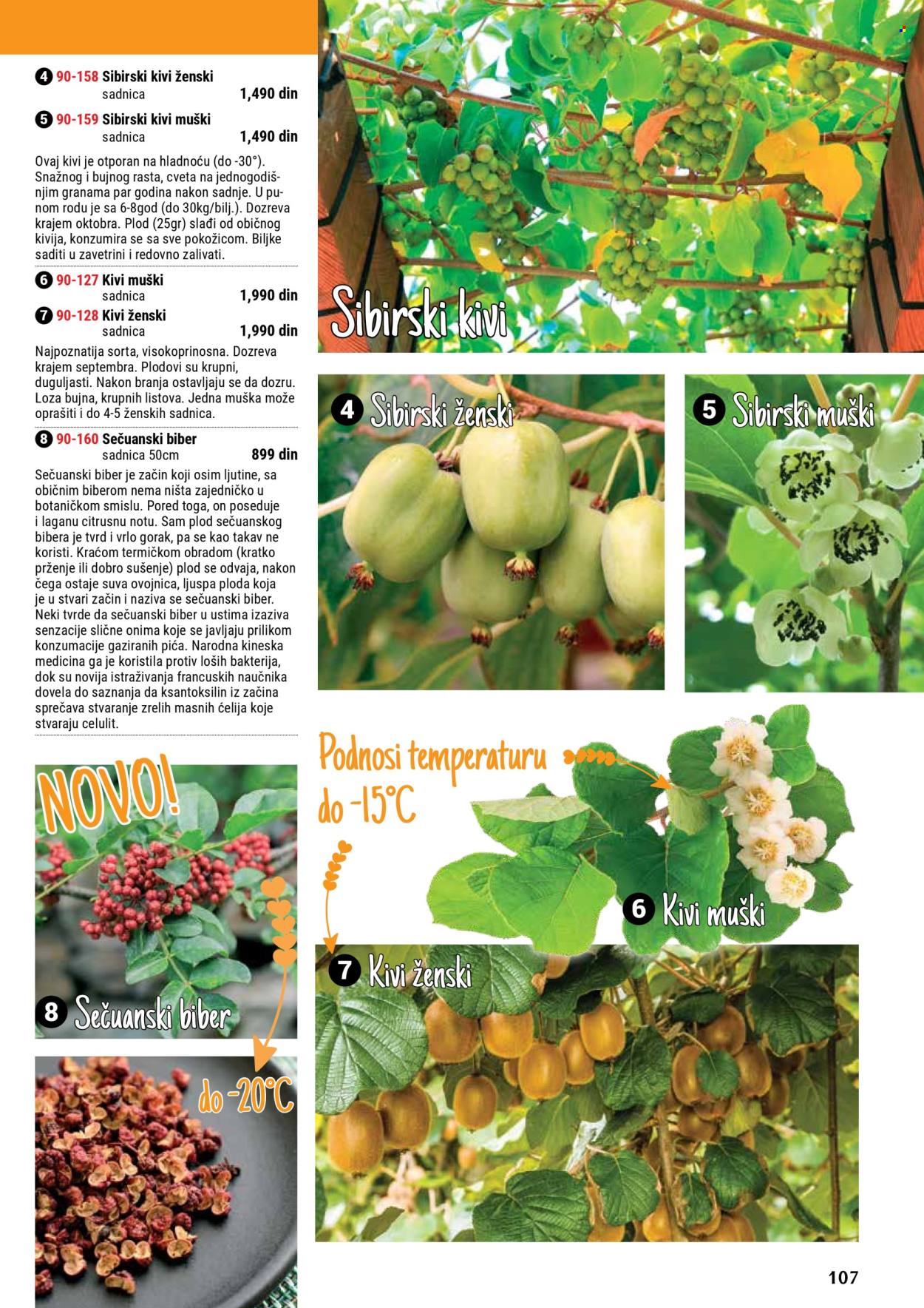 Flora Ekspres katalog. Stranica 107