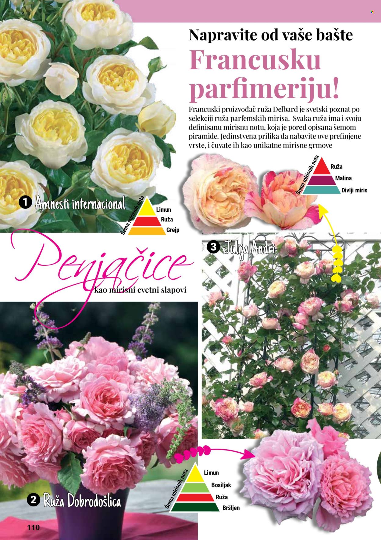 Flora Ekspres katalog. Stranica 110