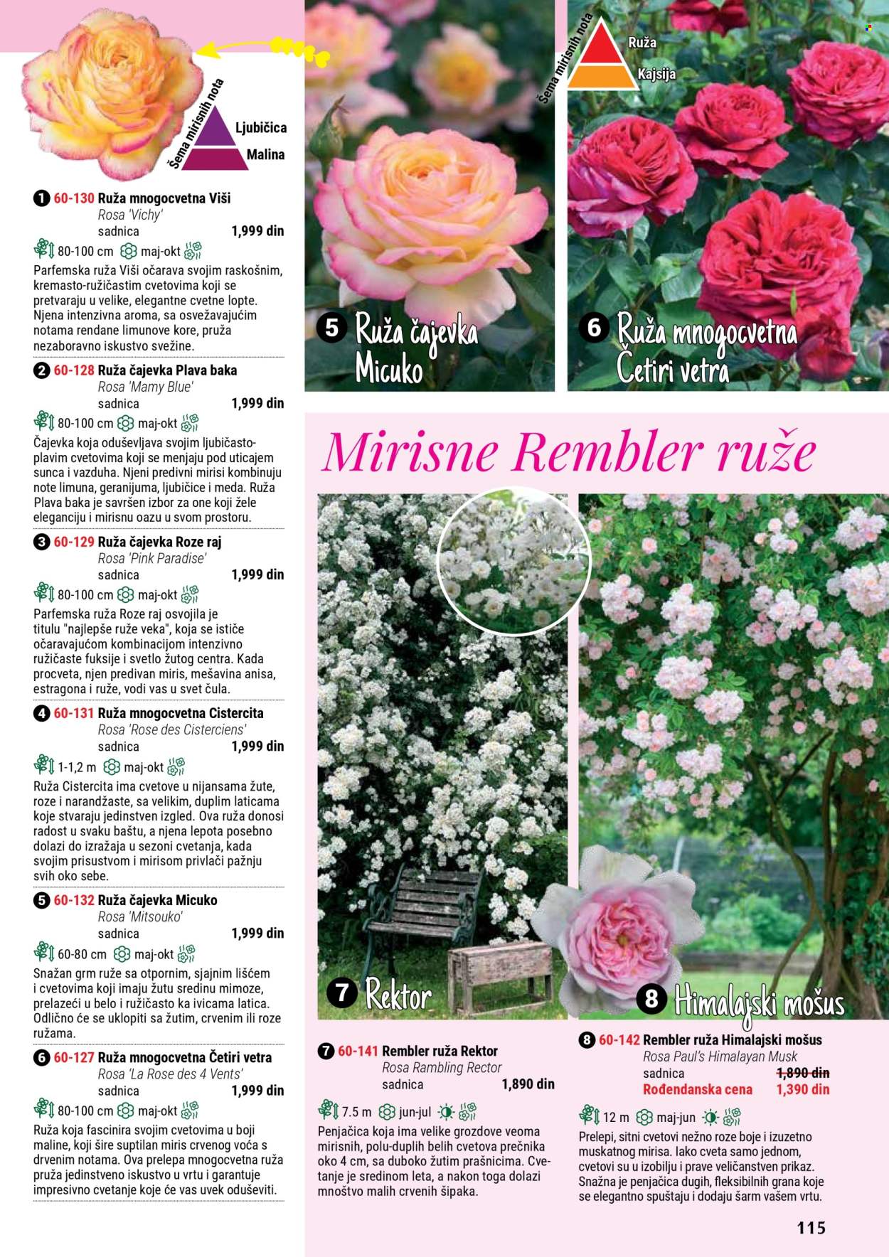 Flora Ekspres katalog. Stranica 115